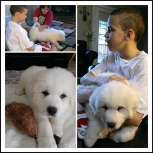 Meet your Posher, John